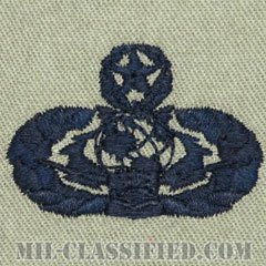 サイバースペース支援章 (マスター)（Cyberspace Support Badge, Master）[ABU/パッチ]の画像