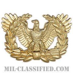アメリカ陸軍制帽用帽章 (准尉用・男女兼用)（Army Service Cap Device, Warrant Officer）[カラー/バッジ]の画像