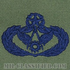土木技師（建設）章 (マスター)（Civil Engineer Badge, Master）[サブデュード/ブルー刺繍/パッチ]の画像