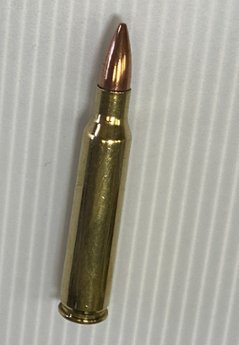 USED：米軍放出品　5.56mm 実物弾頭付き　ダミーカートの画像