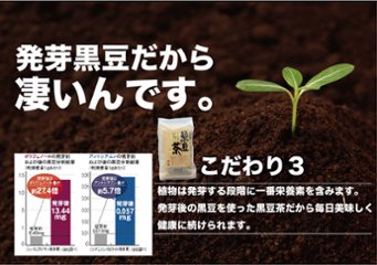 本場遊月亭の発芽黒豆茶250包入 （10包入×24袋入＋おまけ1袋付）正規品画像