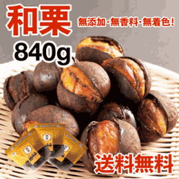 【和栗銀寄せ使用】焼いてお届けホクホク焼栗840g(280g×3袋) 1袋あたり14~18個入り※季節や大きさにより変動ありの画像