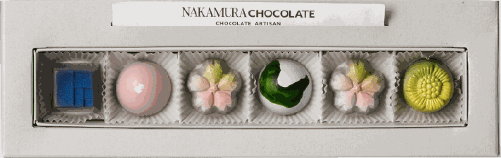 SPRING SELECTION(SS6)画像