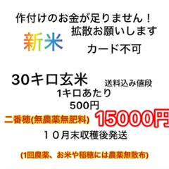 新米30㎏二番穂（沖縄２４ｋｇ）の画像