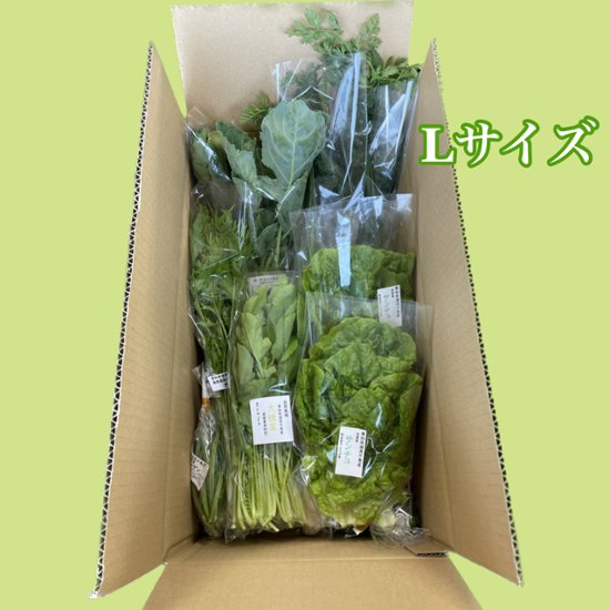 野菜Lセット～　100㎝箱　【送料別】画像