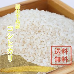 【単品/送料無料】令和6年（新米）コシヒカリ（田植え時農薬1回）米や稲穂には農薬無散布の画像