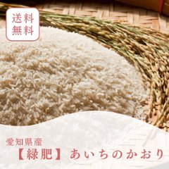 【単品/送料無料】令和6年（新米）【緑肥】あいちのかおりの画像