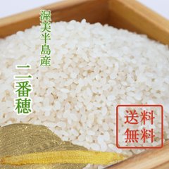 【単品/送料無料】令和6年（新米）二番穂の画像