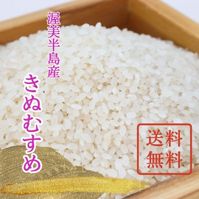 【単品/送料無料】令和6年（新米）きぬむすめの画像