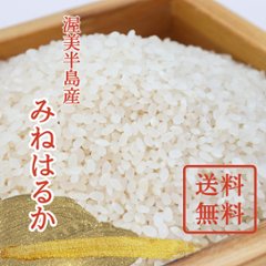 【単品/送料無料】令和6年（新米）みねはるかの画像