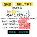 の画像