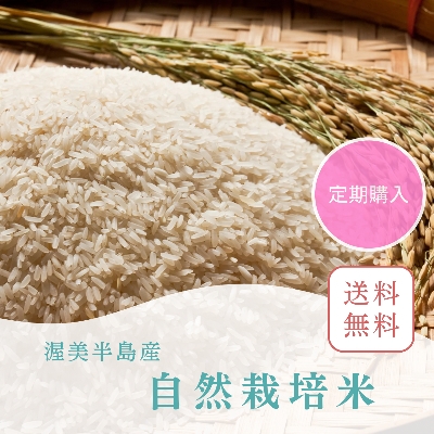 ※ご予約商品2025.9月頃発送予定　　【定期　送料無料】令和7年（新米）自然栽培米の画像