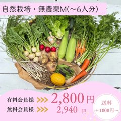 【自然栽培・無農薬野菜セット】S60cm箱/M80cm箱/L100cm箱 ≪送料別≫の画像