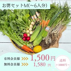 【お徳セット/自然栽培・無農薬栽培・低農薬栽培・普通栽培セット・規格外】S60cm箱/M80cm箱/L100cm箱 ≪送料別≫の画像