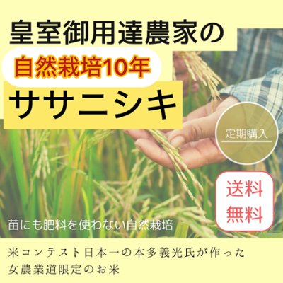 ※ご予約商品2026.10月下旬頃発送予定　　【定期/送料無料】令和7年（新米）皇室御用達農家の自然栽培10年ササニシキの画像