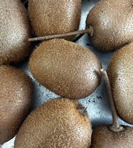 無農薬無肥料キウイフルーツ（未追熟）画像