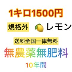 【全国一律送料無料】自然栽培　レモン規格外　セールの画像