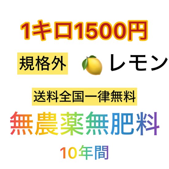 【全国一律送料無料】自然栽培　レモン規格外　セール画像