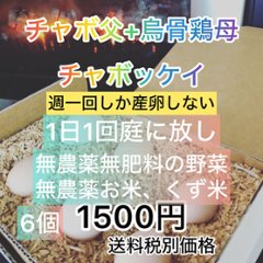 無農薬餌の烏骨鶏とチャボの有精卵　６個　の画像
