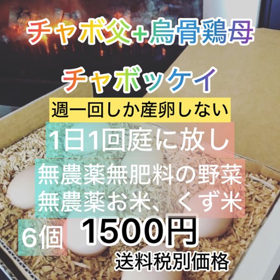 無農薬餌の烏骨鶏とチャボの有精卵　６個　画像