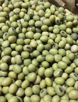 大豆さとういらず（自然栽培在来種）一昨年のためセールの画像