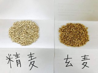 大変希少！自然栽培　もち麦(玄麦/精麦)の画像