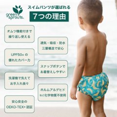 使い捨て水着パンツはもういらない！繰り返し使えるオムツ機能付水遊びパンツiplay(アイプレイ)ベビー用水着スイムパンツ（LightSageTurtleグリーンかめさん）画像