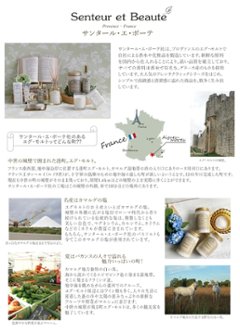 ラグジュアリーな香りで空間をアップグレードお友だちへのプレゼントにも！Senteur et Beaute サンタール エ ボーテ ザ ティー フレグランスブーケ ホワイトティー画像