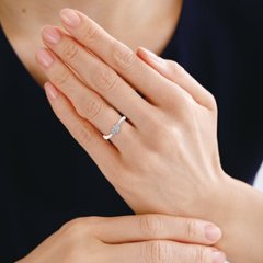 menuet メヌエット画像