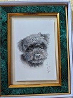 はがきサイズ1頭追加分画像