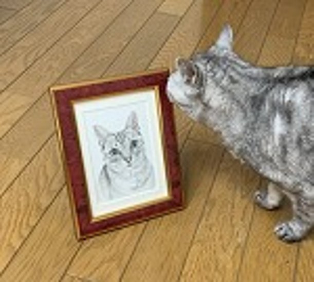 はがきサイズ1頭追加分画像