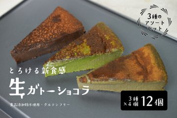 とろける生ガトーショコラ 3種のアソートセット 12個入り（18cm型、10等分）【ソボクニシフォン】の画像