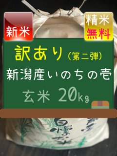 じー様専用　2.1～2.2㎜選抜 B品いのちの壱の画像