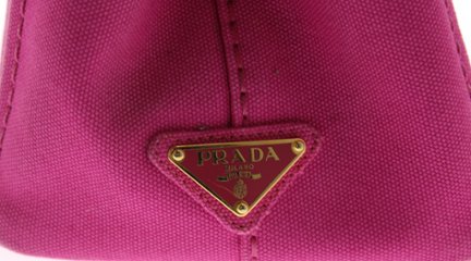 PRADA　カナパトート画像