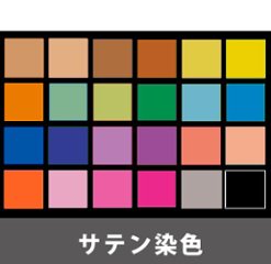 11月より販売中止：サテンシューズ　染色オーダー【セキネの専用色見本】の画像