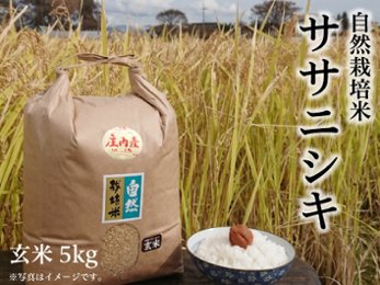 《ササニシキ：玄米》5kg 80サイズの画像
