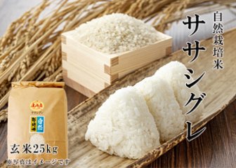 2024年産 新米 自然栽培米《ササシグレ：玄米》25kg（正味24.6kg） 100サイズの画像