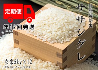 2024年産 新米 自然栽培米【年12回発送お米定期便】《ササシグレ：玄米》5kg 80サイズの画像