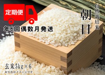 2024年産 新米 自然栽培米【年6回偶数月お米定期便】《朝日：玄米》5kg 80サイズの画像