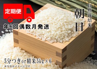 2023年産 新米 自然栽培米【年6回偶数月お米定期便】《朝日：5分つきor精米》5kg 80サイズの画像