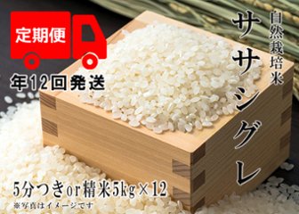 2023年産 新米 自然栽培米【年12回発送お米定期便】《ササシグレ：5分つきor精米》5kg 80サイズの画像