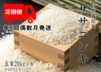 2024年産 新米 自然栽培米【年6回偶数月お米定期便】《ササニシキ：玄米》20kg 100サイズの画像