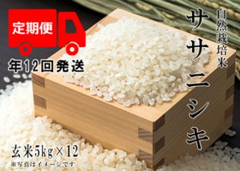 2024年産 新米 自然栽培米【年12回発送お米定期便】《ササニシキ：玄米》5kg 80サイズの画像