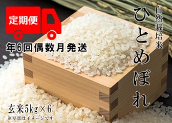 2024年産 新米 自然栽培米【年6回偶数月お米定期便】《ひとめぼれ：玄米》5kg 80サイズの画像