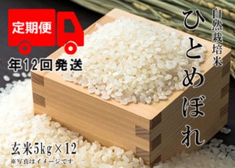 2024年産 新米 自然栽培米【年12回発送お米定期便】《ひとめぼれ：玄米》5kg 80サイズの画像