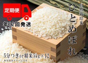 2023年産 新米 自然栽培米【年12回発送お米定期便】《ひとめぼれ：5分つきor精米》5kg 80サイズの画像