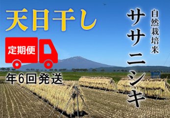 天日干し【年6回お米定期便】《ササニシキ：玄米》10kg 100サイズの画像