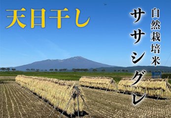 天日干し《ササシグレ：玄米》5kg 80サイズの画像