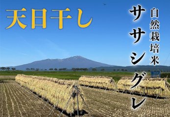 天日干し《ササシグレ：玄米》10kg 100サイズの画像