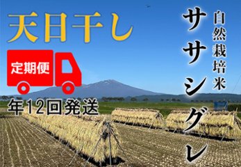 天日干し【年12回発送お米定期便】《ササシグレ：玄米》5kg 80サイズの画像